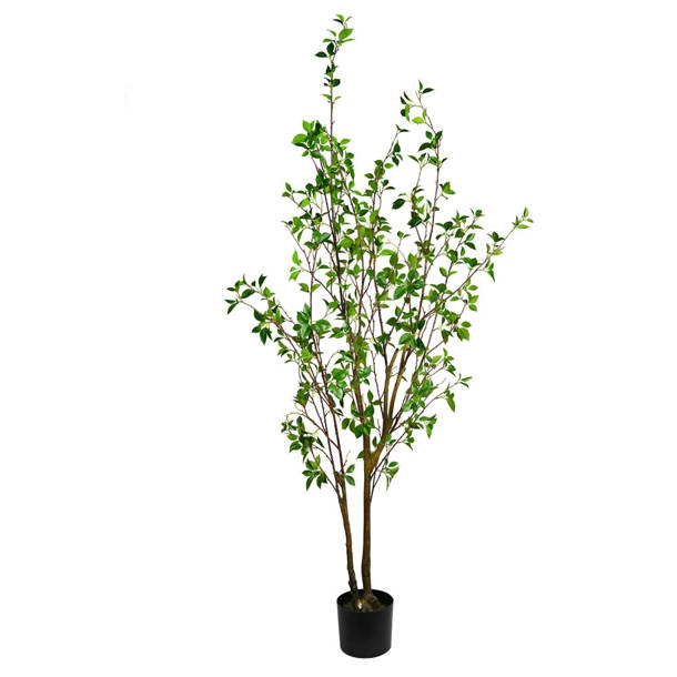 Beachcrest Home Artificial Potted Milan Leaf Tree in Black Planters Pot